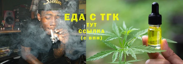 индика Беломорск