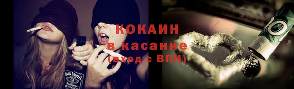 индика Беломорск