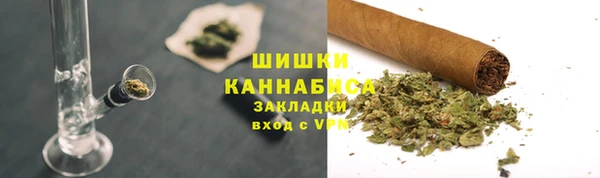 индика Беломорск