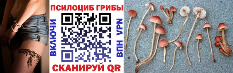 Галлюциногенные грибы Psilocybine cubensis  наркота  Макаров 